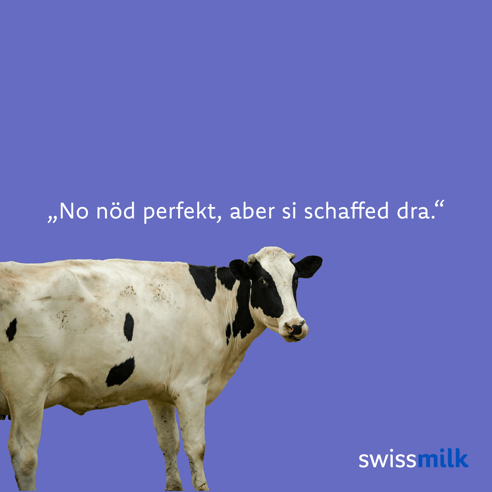 Swissmilk — 6